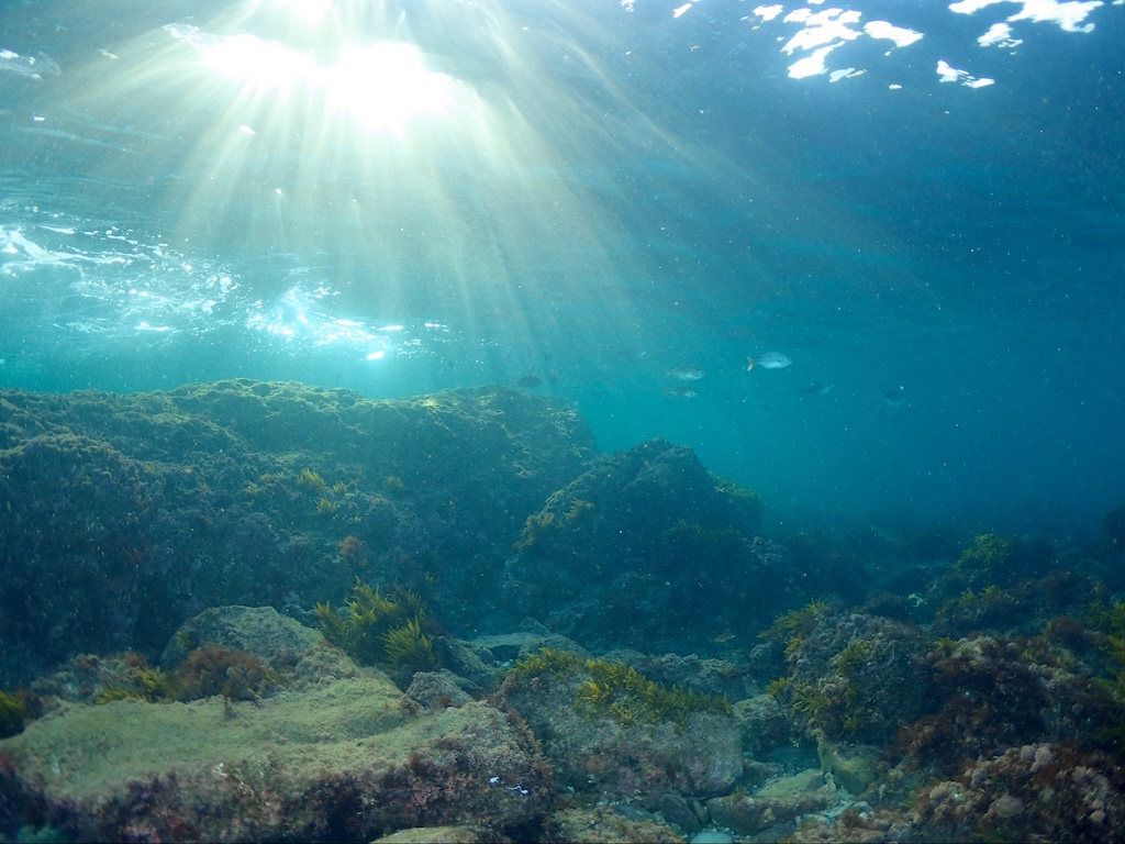 坂田の海：ビーチポイント