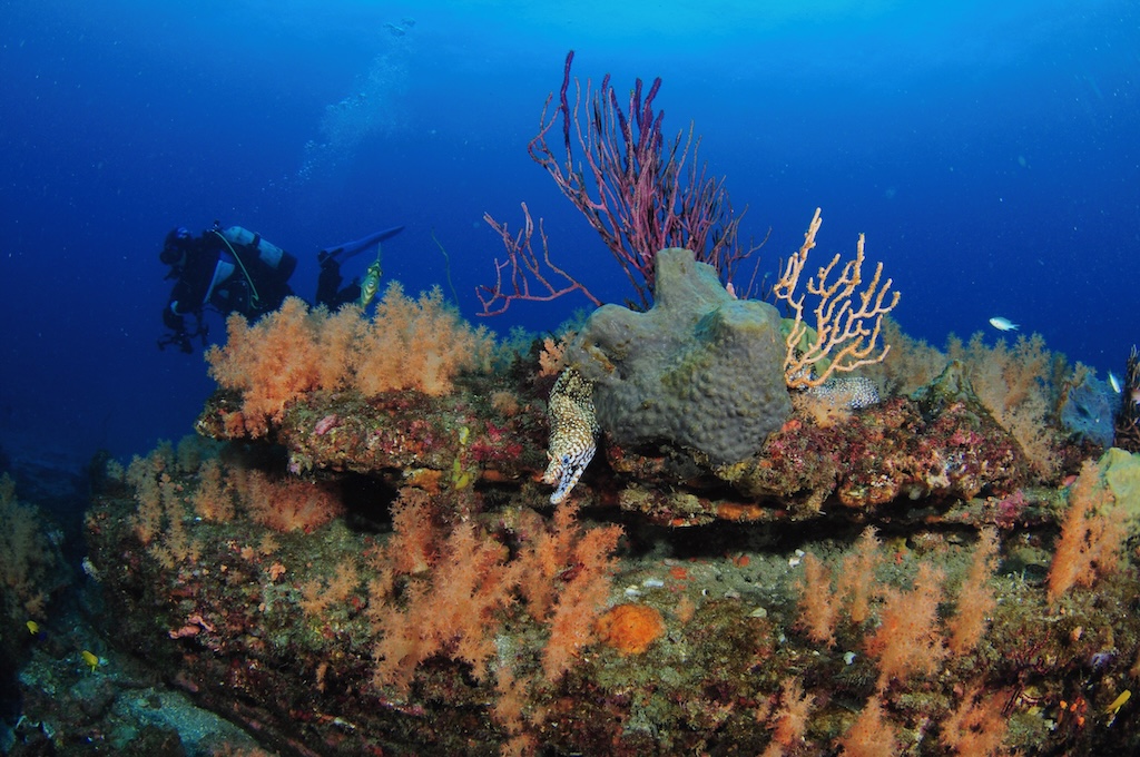 ファンダイビング