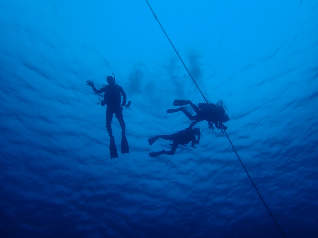 ファンダイビング