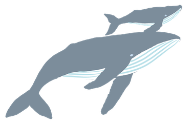 ショップについて