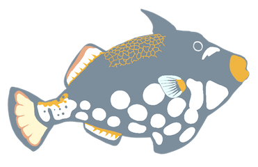 お知らせ＆ブログ