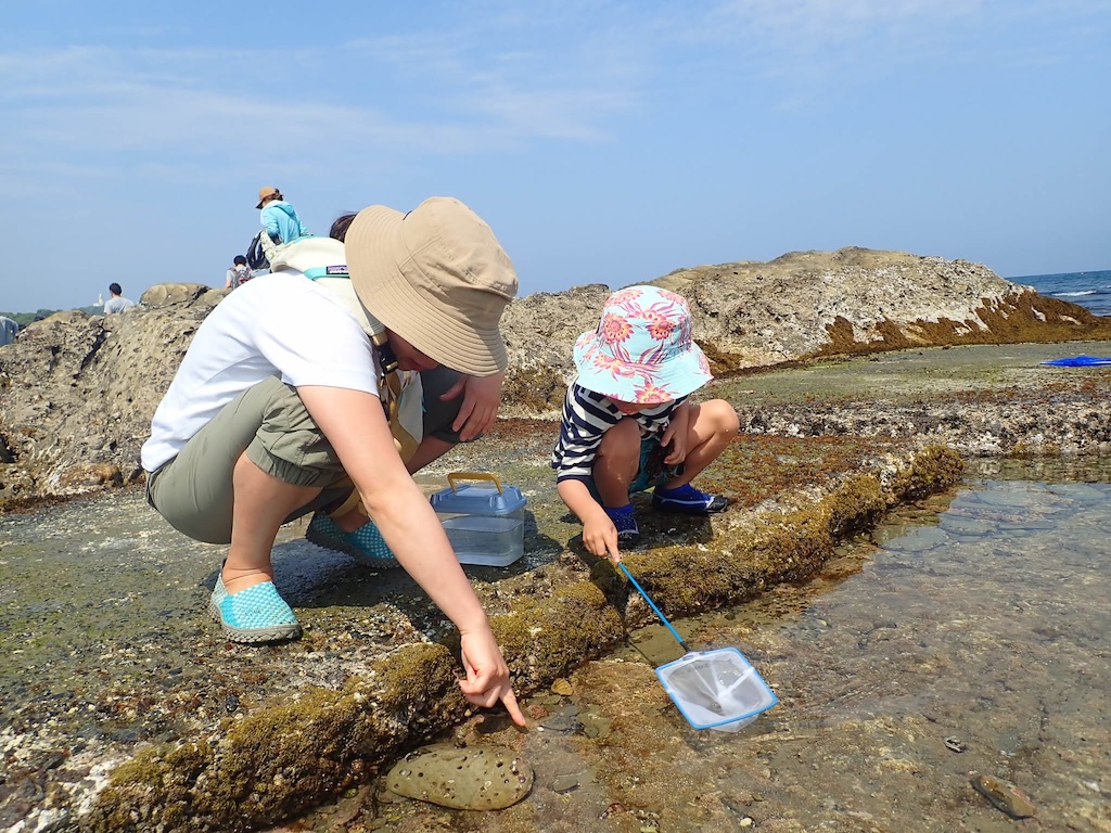 メニュー＆料金：磯観察教室