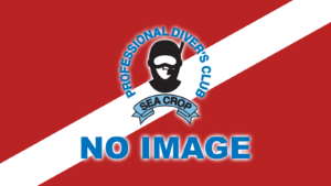 館山・坂田【シークロップダイビングスクール】NO IMAGE