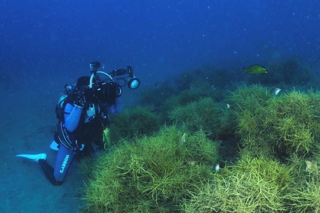 オススメの潜り方