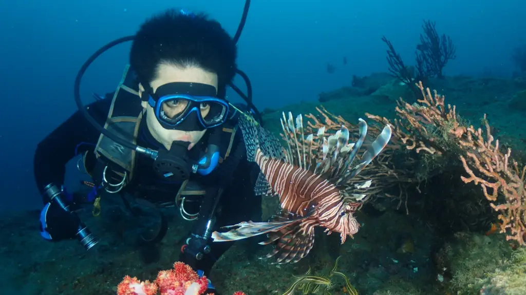 坂田の一日　ファンダイビングについて