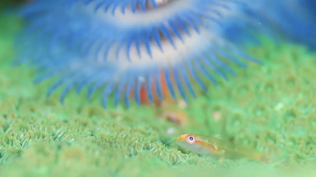 お知らせ＆ブログ