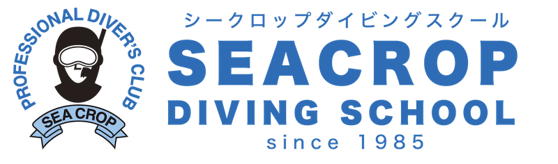 千葉県館山・坂田【シークロップ・ダイビングスクール】